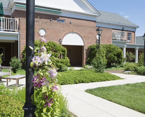 Brightwood-0318