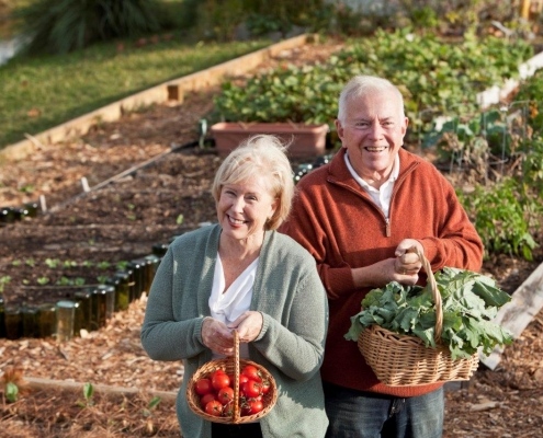 gardeners